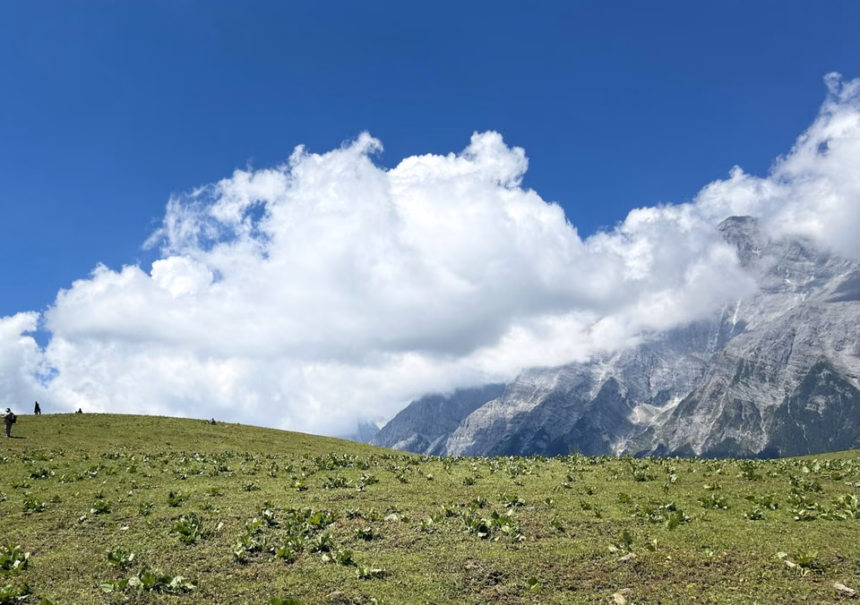 蓝天下的高山草地
